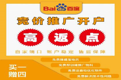 某电商企业如何利用百度搜索推广提升销售额